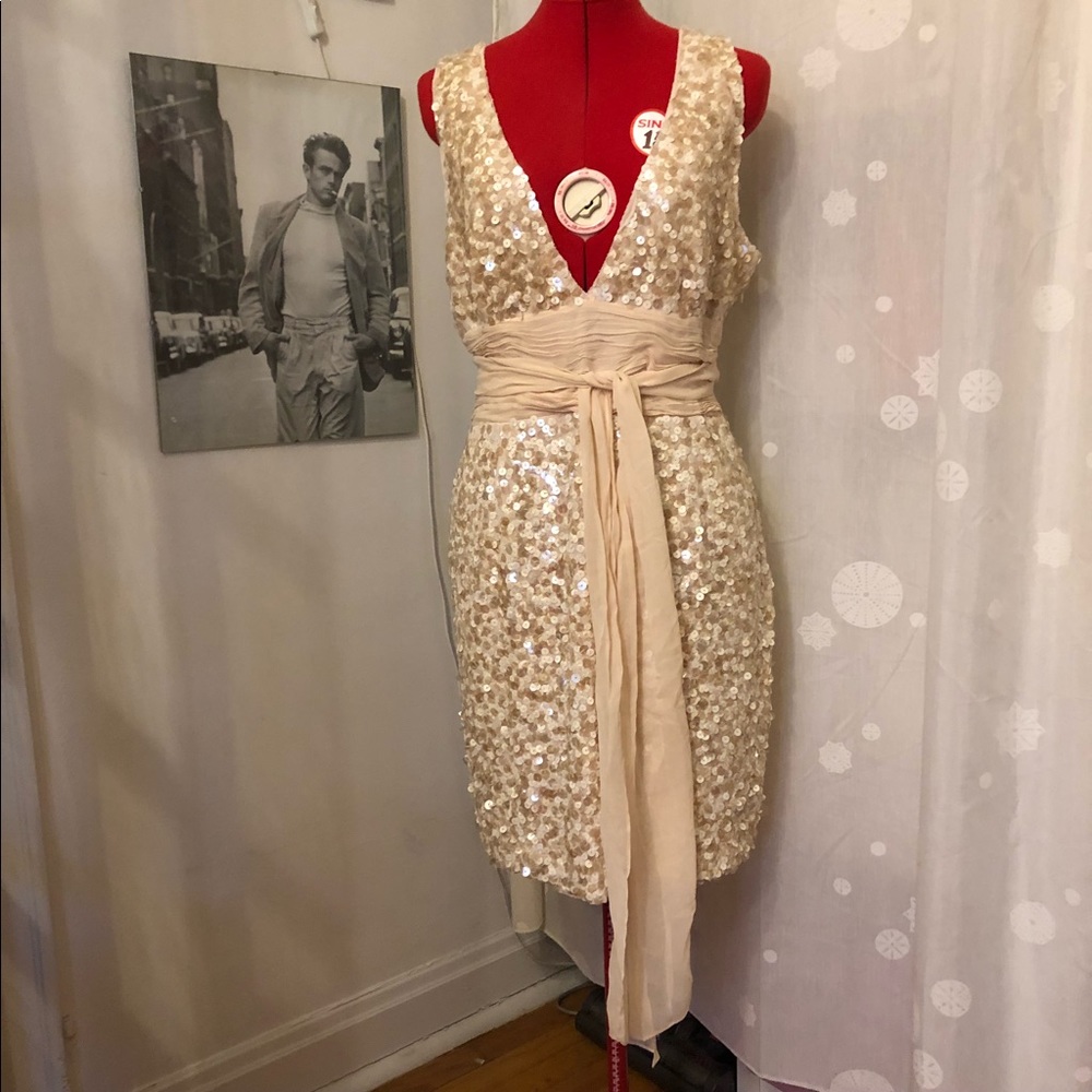 BCBG Sequin Dress - M